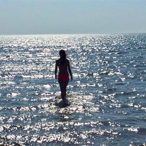 Meet your Posher, Rose